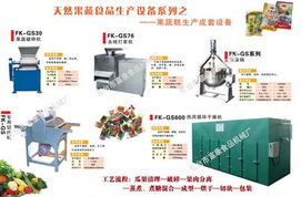 果蔬糕成套设备 高效生产线的视觉与技术解析